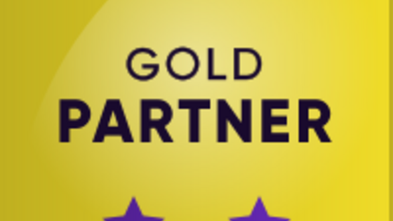 PIMCORE - Gold-Partnerschaft