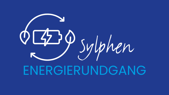 Energieverbrauch im Gebäude systematisch erfassen: Mit dem Sylphen Energierundgang